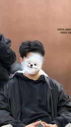 -KS COLOUR漂色·染发·画染