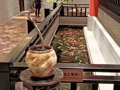 -龙悦湾酒家·八阵鱼生·渔人码头店