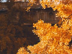 -北京石刻艺术博物馆(五塔寺)