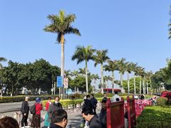 -灵玲国际马戏城