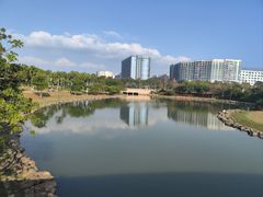 -宝安西湾红树林湿地公园