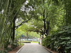 -苏州河梦清园环保主题公园