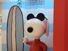 -九木杂物社(中心店)