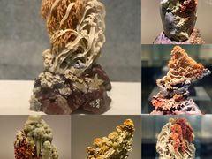 -杭州工艺美术博物馆