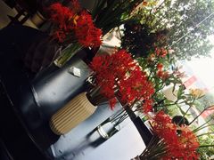 -发现花馆西餐厅FA Restaurant