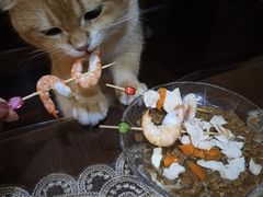 -天宠宠物医院24小时·急重症诊疗中心·全科·腔镜特色(和平分院)