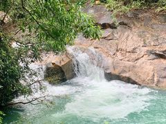 -广州白江湖森林公园