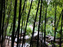 -秋霞圃