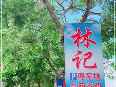 -林记海鲜排档·十年海鲜地标