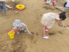 -碧海金沙