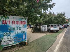 -韩士良采摘园
