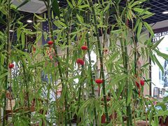 -西江美食舫·江西菜(健德桥店)