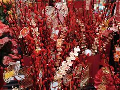 -越秀西湖花市(广州城市广场花卉店)