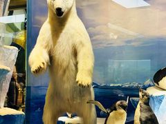 -国家自然博物馆