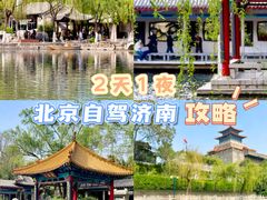 -趵突泉景区