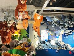 -宜家家居(四元桥商场店)