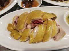姜葱白切鸡-阿政粤小馆(中央大街店)