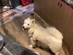 -CIAO·团建聚餐·生日派对轰趴馆(福田店)