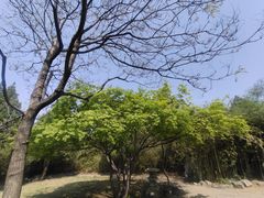 -千佛山风景名胜区