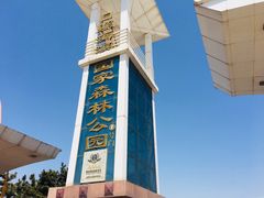-日照海滨国家森林公园