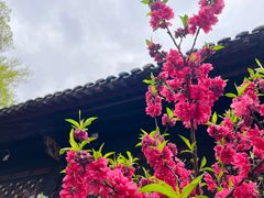 -成都市文殊院