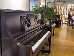 -王府井乐器城