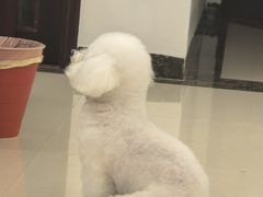 -吴记杭州私房面