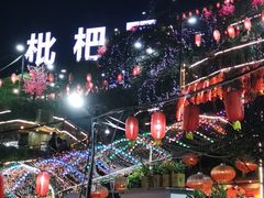 -枇杷园食为鲜火锅(南山店)
