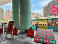 -鹏欣水游城