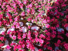 -人民防洪胜利纪念塔