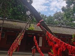 -少华山国家森林公园