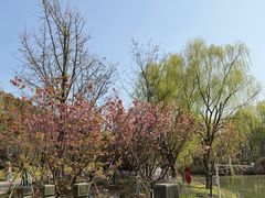 -梁鸿国家湿地公园