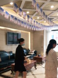 -碧莲盛·不剃发植发