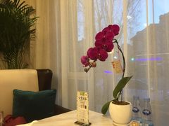 店内布置-子霖南山鲜虾面(南山总店)