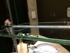 -上海圣淘沙万怡酒店