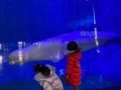 -泉城欧乐堡海洋极地世界