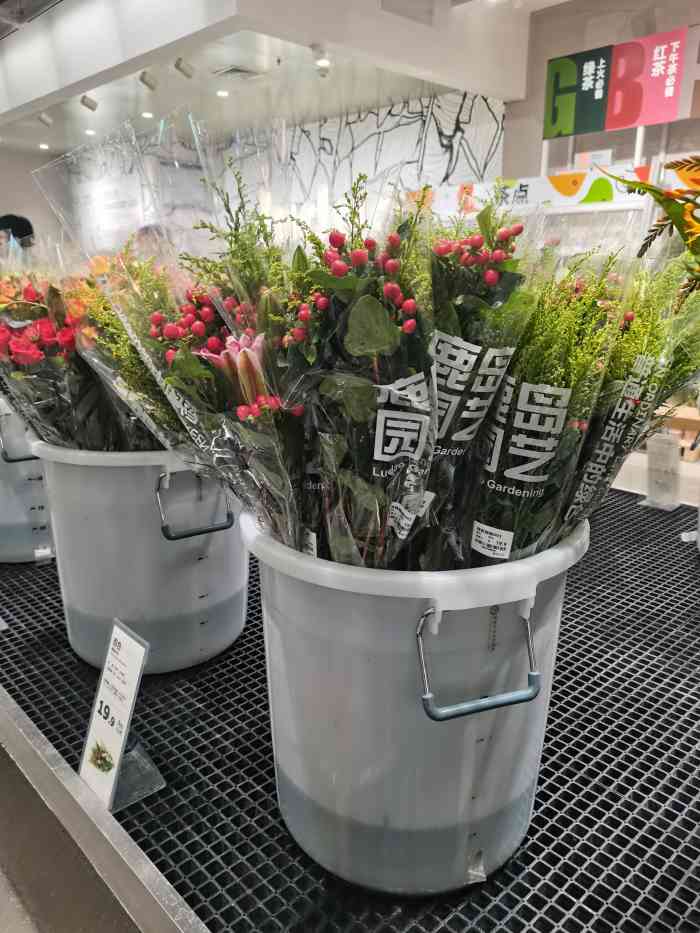 鹿岛园艺(朝天门来福士店)-"不来不知道,一来真是后悔,后悔没早点来啊