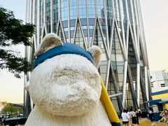 -深圳湾万象城(南山店)