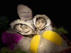 -普朗姆生蚝牛排馆 The Plump Oyster(成都摩方购物中心店)