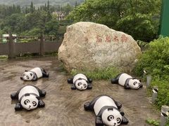 -虹口漂流