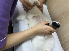 -恒幸动物医院·急重症转诊中心·神经内外科·CT核磁