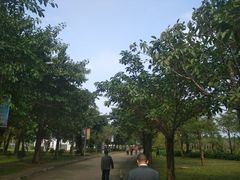 -白沙门生态公园
