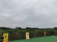 -千年枣林游览区