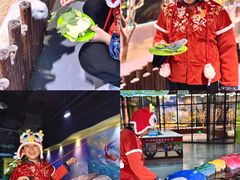 -顺德南宏海立方海洋公园
