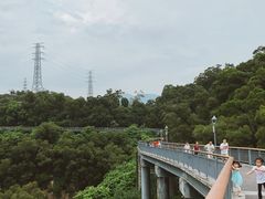 -金鸡山公园
