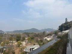 -杭州开元森泊度假乐园