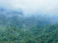 -苍山感通索道