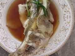 -小蝌蚪·寻·月嫂(松江妇幼店)