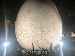 -100蛋泥浆浴