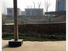 -桃花岛景观公园